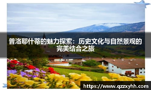 满冠体育手机网页版登录