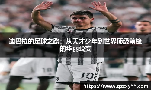 满冠体育官网版